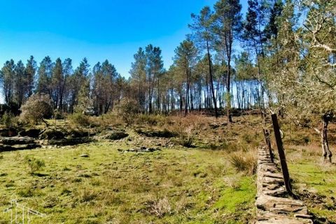 Farm hus i Castelo Branco, Castelo Branco, Castelo Branco - € 44.000 | Ref: 21-11857 - foto 17