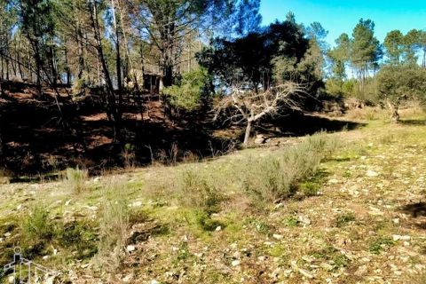 Farm hus i Castelo Branco, Castelo Branco, Castelo Branco - € 44.000 | Ref: 21-11857 - foto 18