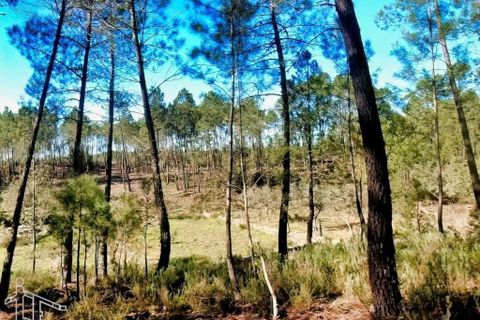 Farm hus i Castelo Branco, Castelo Branco, Castelo Branco - € 44.000 | Ref: 21-11857 - foto 22
