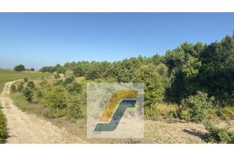 Helårsgrund i Bombarral, Leiria, Bombarral - € 27.000 | Ref: 224008 - foto 2