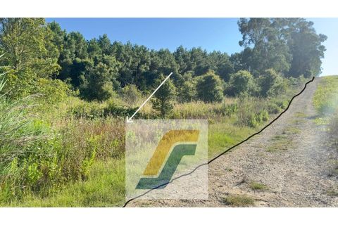 Helårsgrund i Bombarral, Leiria, Bombarral - € 27.000 | Ref: 224008 - foto 4