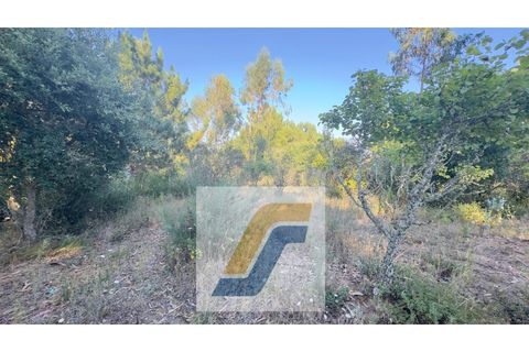 Helårsgrund i Bombarral, Leiria, Bombarral - € 27.000 | Ref: 224008 - foto 6