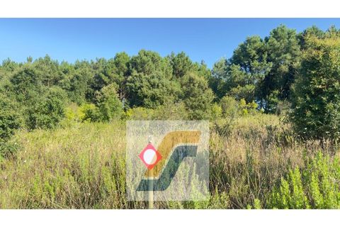 Helårsgrund i Bombarral, Leiria, Bombarral - € 27.000 | Ref: 224008 - foto 8