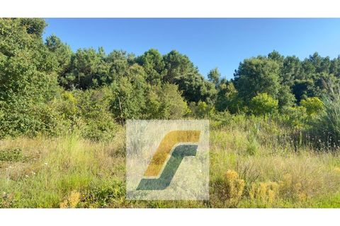 Helårsgrund i Bombarral, Leiria, Bombarral - € 27.000 | Ref: 224008 - foto 9