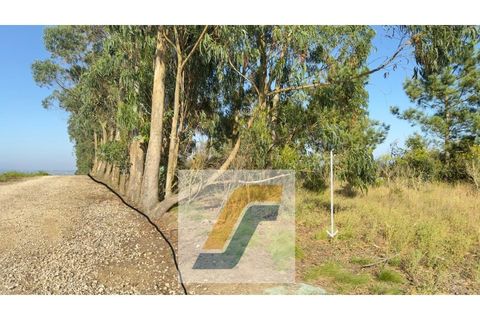 Helårsgrund i Bombarral, Leiria, Bombarral - € 27.000 | Ref: 224008 - foto 10