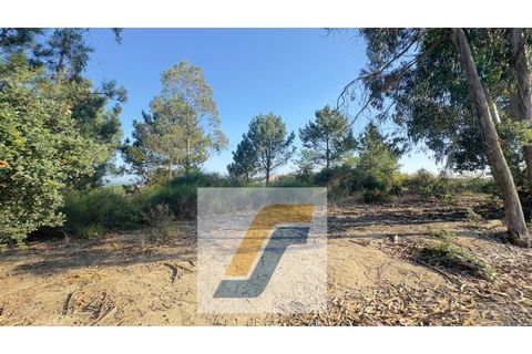 Helårsgrund i Bombarral, Leiria, Bombarral - € 27.000 | Ref: 224008 - foto 11