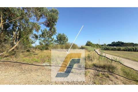 Helårsgrund i Bombarral, Leiria, Bombarral - € 27.000 | Ref: 224008 - foto 12