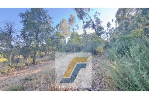 Helårsgrund i Bombarral, Leiria, Bombarral - € 27.000 | Ref: 224008 - foto 14