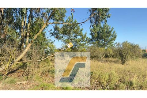 Helårsgrund i Bombarral, Leiria, Bombarral - € 27.000 | Ref: 224008 - foto 15