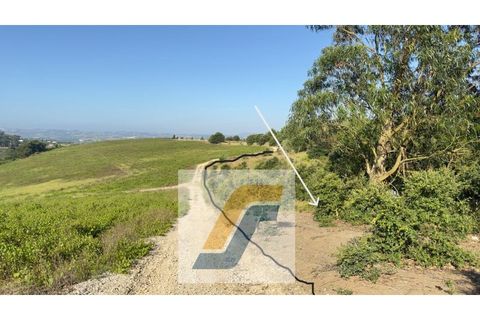 Helårsgrund i Bombarral, Leiria, Bombarral - € 27.000 | Ref: 224008 - foto 18