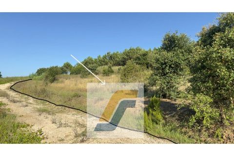 Helårsgrund i Bombarral, Leiria, Bombarral - € 27.000 | Ref: 224008 - foto 23