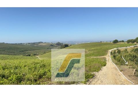 Helårsgrund i Bombarral, Leiria, Bombarral - € 27.000 | Ref: 224008 - foto 25