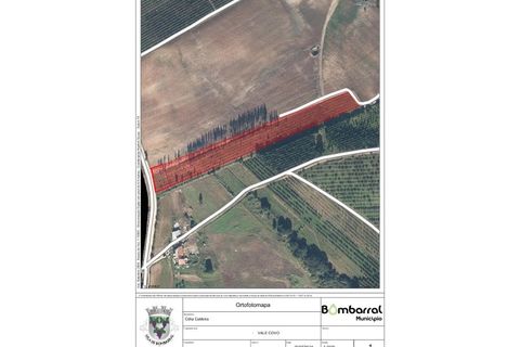Helårsgrund i Bombarral, Leiria, Bombarral - € 27.000 | Ref: 224008 - foto 28