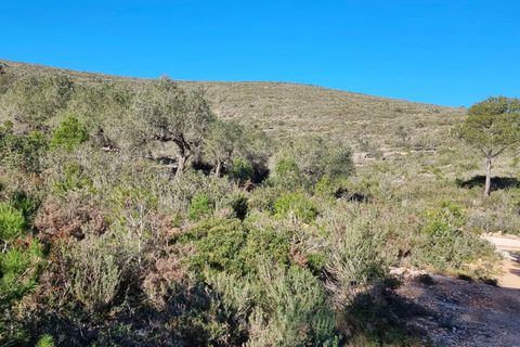 Finca i Rasquera, Tarragona, Rasquera - € 15.000 | Ref: Rf - foto 8