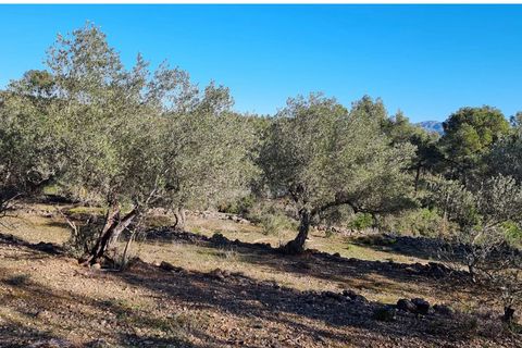 Finca i Rasquera, Tarragona, Rasquera - € 15.000 | Ref: Rf - foto 3