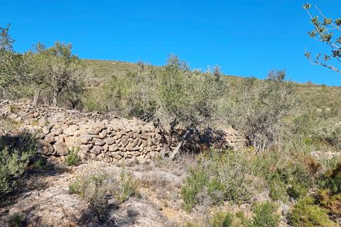 Finca i Rasquera, Tarragona, Rasquera - € 15.000 | Ref: Rf - foto 2