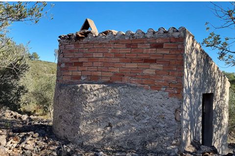Finca i Rasquera, Tarragona, Rasquera - € 15.000 | Ref: Rf - foto 1