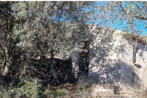 Finca i Rasquera, Tarragona, Rasquera - € 15.000 | Ref: Rf - foto 6