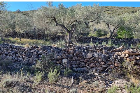 Finca i Rasquera, Tarragona, Rasquera - € 15.000 | Ref: Rf - foto 4