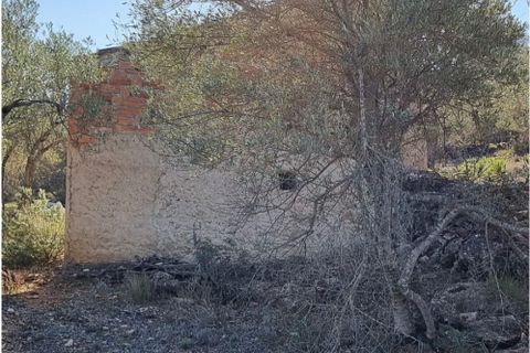 Finca i Rasquera, Tarragona, Rasquera - € 15.000 | Ref: Rf - foto 7