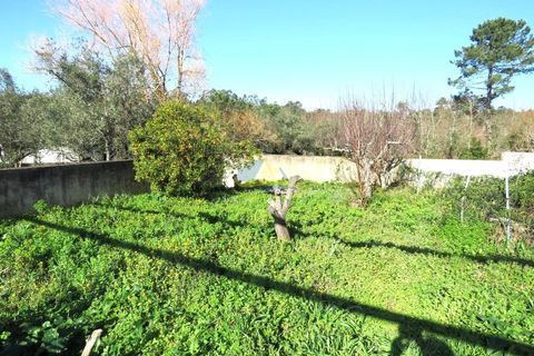 Villa a Miranda do Corvo, Coimbra, Miranda do Corvo - € 495.000 | Ref: ko2613 - foto 16