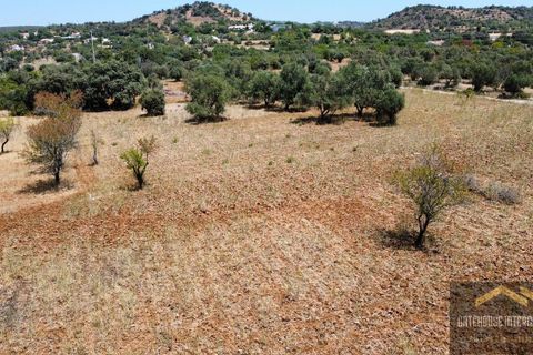 Lejlighed i Estoi, Faro, Estoi - € 250.000 | Ref: acps10628 - foto 5