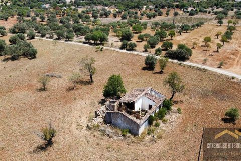 Lejlighed i Estoi, Faro, Estoi - € 250.000 | Ref: acps10628 - foto 7