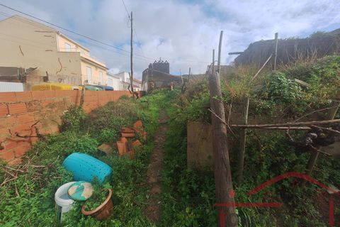 Villa i Bombarral, Leiria, Bombarral - € 70.000 | Ref: 013-2025 - foto 15