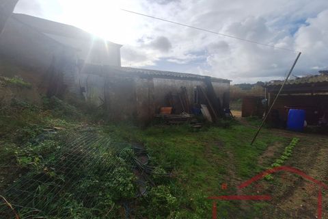 Villa i Bombarral, Leiria, Bombarral - € 70.000 | Ref: 013-2025 - foto 16