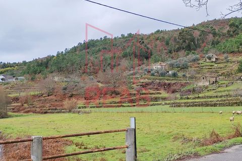 Villa a Boticas, Vila Real, Boticas - € 120.000 | Ref: 203/ 2025 - foto 29