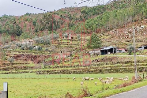 Villa a Boticas, Vila Real, Boticas - € 120.000 | Ref: 203/ 2025 - foto 30
