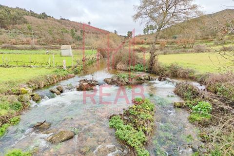 Villa a Boticas, Vila Real, Boticas - € 120.000 | Ref: 203/ 2025 - foto 31