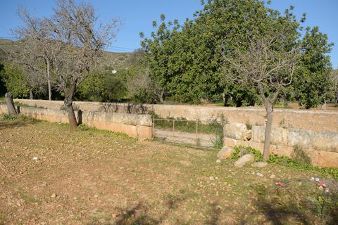 Helårsgrund i Capdepera, Mallorca, Capdepera - € 268.000 | Ref: 4162V - foto 6