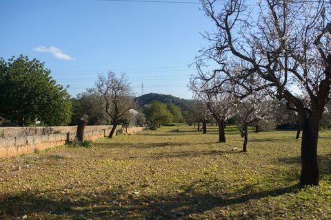 Helårsgrund i Capdepera, Mallorca, Capdepera - € 268.000 | Ref: 4162V - foto 7