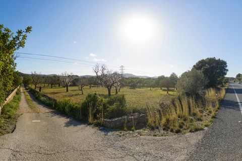 Helårsgrund i Capdepera, Mallorca, Capdepera - € 268.000 | Ref: 4162V - foto 9
