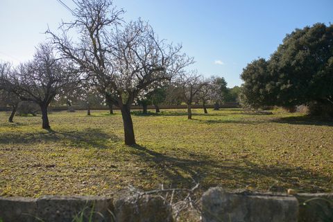 Helårsgrund i Capdepera, Mallorca, Capdepera - € 268.000 | Ref: 4162V - foto 10