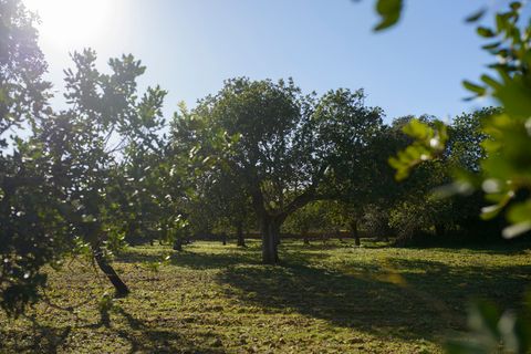 Helårsgrund i Capdepera, Mallorca, Capdepera - € 268.000 | Ref: 4162V - foto 11
