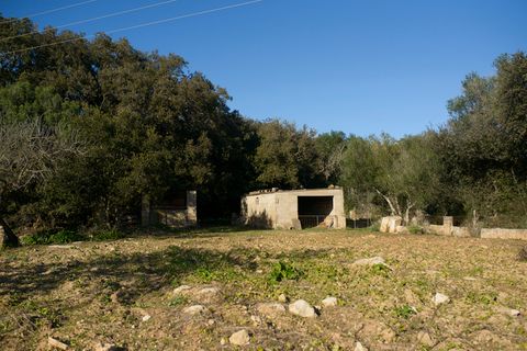 Helårsgrund i Capdepera, Mallorca, Capdepera - € 268.000 | Ref: 4162V - foto 12
