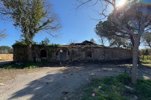 Działka: Arta, Mallorca, Arta – 300 000 € | Ref: 4151V – zdjęcie 17
