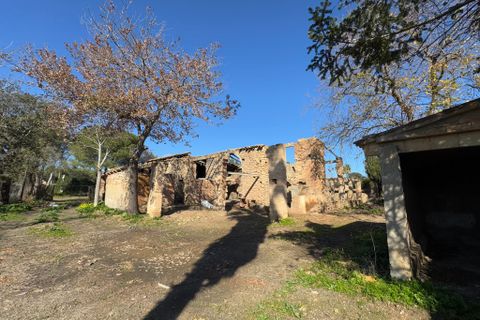 Działka: Arta, Mallorca, Arta – 300 000 € | Ref: 4151V – zdjęcie 18