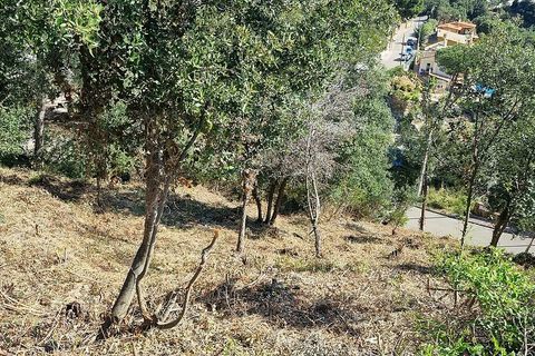 Helårsgrund i Calonge, Gerona, Calonge - € 68.000 | Ref: RDOP-162Bis - foto 3