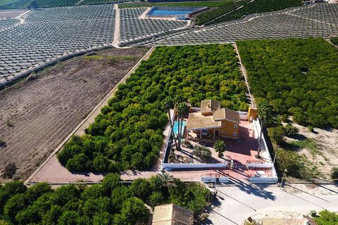 Villa i Orihuela, Alicante, Orihuela - € 675.000 | Ref: R-37161 - foto 19