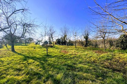 Terra a Ingenheim, Bas-Rhin, Ingenheim - € 96.000 | Ref: 56_V1020058912 - foto 3