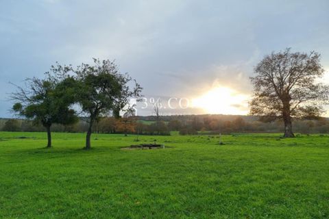 Landejendom i Peillac, Morbihan, Peillac - € 156.000 | Ref: 396_V4870058219 - foto 3