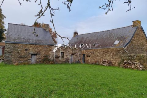 Landejendom i Peillac, Morbihan, Peillac - € 156.000 | Ref: 396_V4870058219 - foto 17