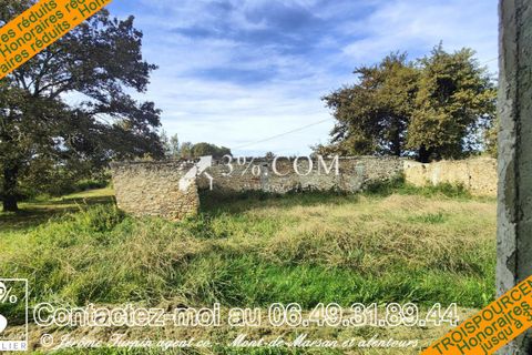 Villa a Labastide-d'Armagnac, Landes, Labastide-d'Armagnac - € 309.000 | Ref: 168_V2450051789 - foto 19