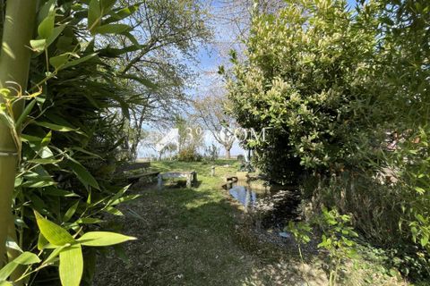 Terra a Berstett, Bas-Rhin, Berstett - € 66.000 | Ref: 55_V1000057277 - foto 5