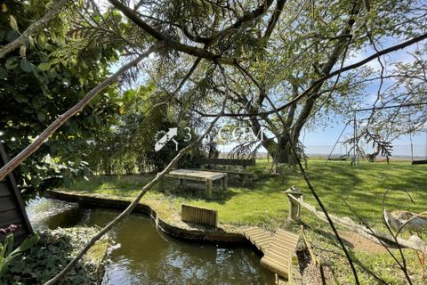 Terra a Berstett, Bas-Rhin, Berstett - € 66.000 | Ref: 55_V1000057277 - foto 6