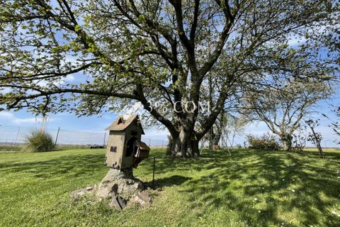 Terra a Berstett, Bas-Rhin, Berstett - € 66.000 | Ref: 55_V1000057277 - foto 10