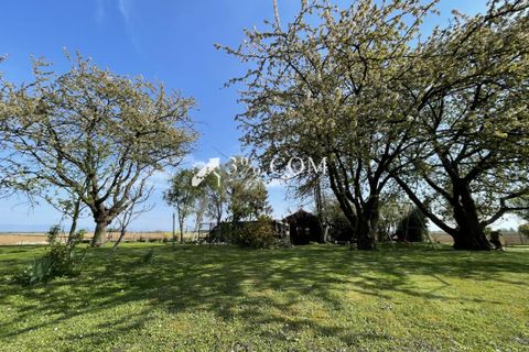 Terra a Berstett, Bas-Rhin, Berstett - € 66.000 | Ref: 55_V1000057277 - foto 12